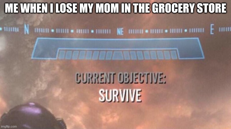Image Title | ME WHEN I LOSE MY MOM IN THE GROCERY STORE | image tagged in current objective survive,why are you reading this,mom,grocery store,store,me when | made w/ Imgflip meme maker