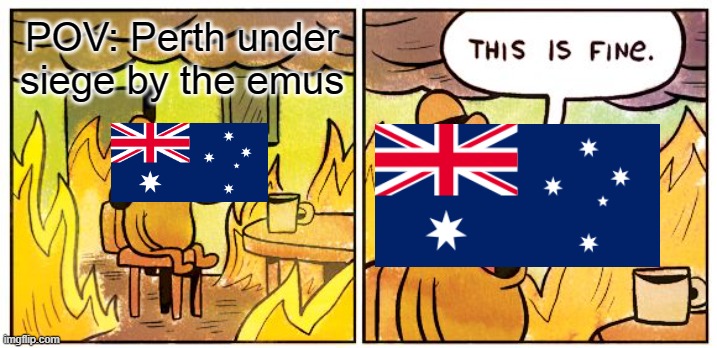 This Is Fine Meme | POV: Perth under siege by the emus | image tagged in memes,this is fine | made w/ Imgflip meme maker