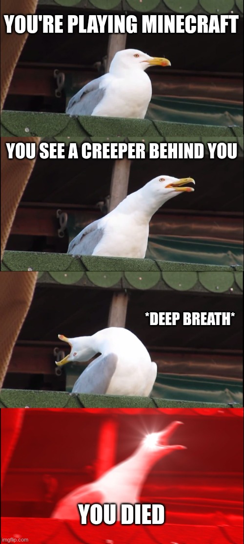 Inhaling Seagull | YOU'RE PLAYING MINECRAFT; YOU SEE A CREEPER BEHIND YOU; *DEEP BREATH*; YOU DIED | image tagged in memes,inhaling seagull | made w/ Imgflip meme maker