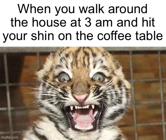 Screaming in agony | When you walk around the house at 3 am and hit your shin on the coffee table | image tagged in memes,pain,funny,animals | made w/ Imgflip meme maker