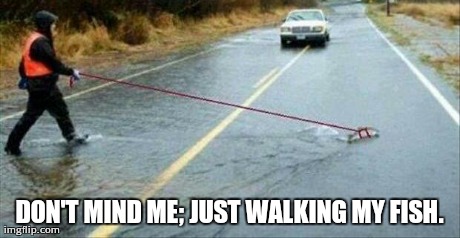 Well, that's unexpected. | DON'T MIND ME; JUST WALKING MY FISH. | image tagged in funny,wtf | made w/ Imgflip meme maker