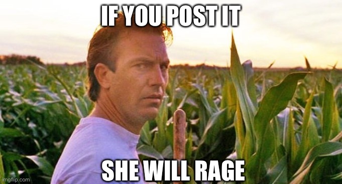 Online Rage | IF YOU POST IT; SHE WILL RAGE | image tagged in if you build it they will come,rage,post,bitches be like | made w/ Imgflip meme maker