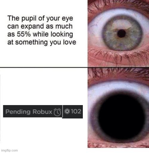 Expanding Pupil | image tagged in expanding pupil,roblox,robux,pending robux | made w/ Imgflip meme maker