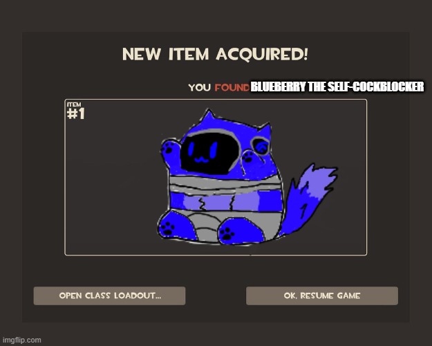 You got tf2 shit | BLUEBERRY THE SELF-COCKBLOCKER | image tagged in you got tf2 shit | made w/ Imgflip meme maker