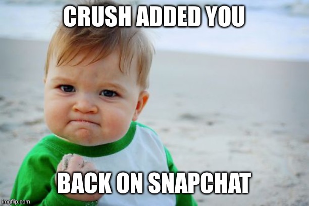 Crush Snapchat | CRUSH ADDED YOU; BACK ON SNAPCHAT | image tagged in memes,success kid original | made w/ Imgflip meme maker