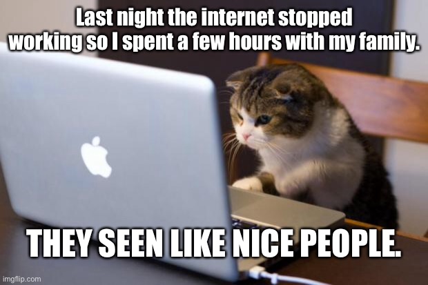 Cat on internet | Last night the internet stopped working so I spent a few hours with my family. THEY SEEN LIKE NICE PEOPLE. | image tagged in cat using computer,cat,family,funny,people | made w/ Imgflip meme maker