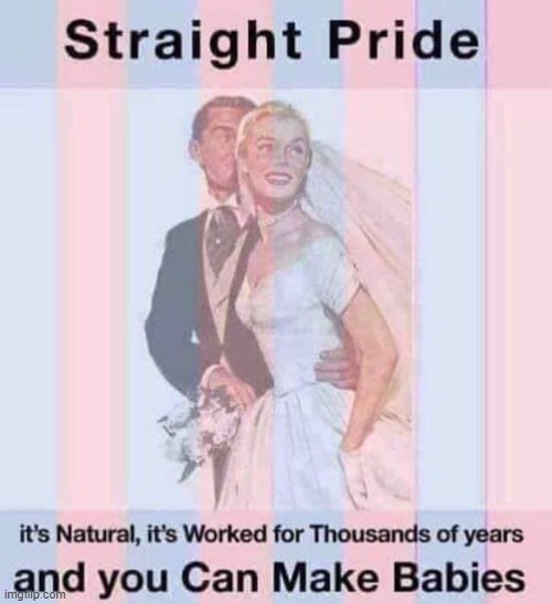 Straight Pride | image tagged in babies | made w/ Imgflip meme maker