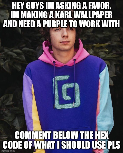 Pls and thx? (Mod Note: DEW IT) | HEY GUYS IM ASKING A FAVOR, IM MAKING A KARL WALLPAPER AND NEED A PURPLE TO WORK WITH; COMMENT BELOW THE HEX CODE OF WHAT I SHOULD USE PLS | image tagged in karl jacobs,dsmp,help | made w/ Imgflip meme maker