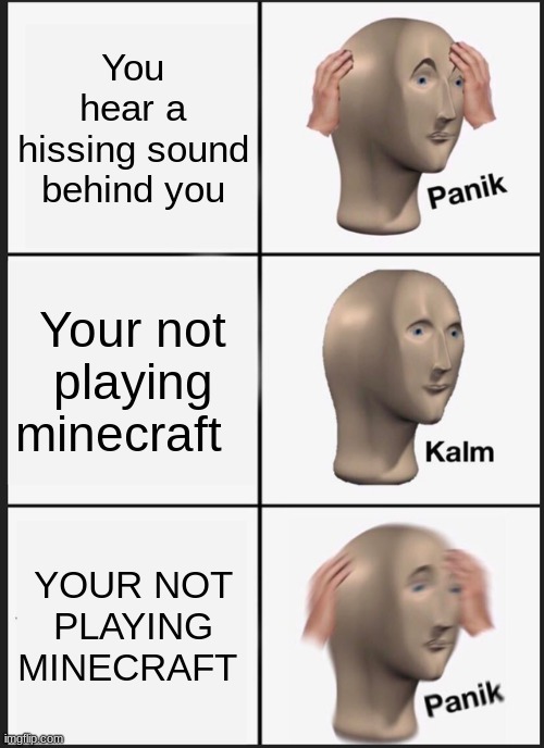 creeper........................................... | You hear a hissing sound behind you; Your not playing minecraft; YOUR NOT PLAYING MINECRAFT | image tagged in memes,panik kalm panik | made w/ Imgflip meme maker