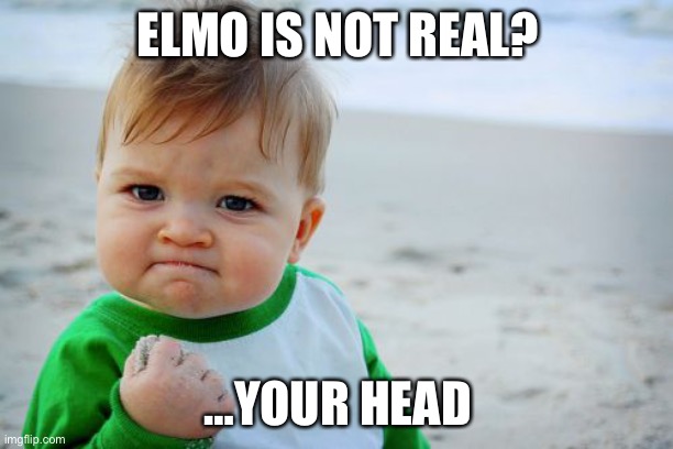 Is to | ELMO IS NOT REAL? …YOUR HEAD | image tagged in memes,success kid original | made w/ Imgflip meme maker