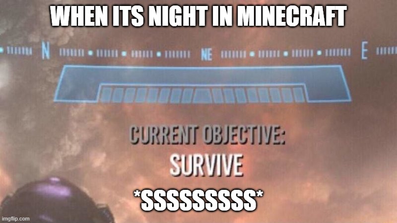 Minecraft | WHEN ITS NIGHT IN MINECRAFT; *SSSSSSSSS* | image tagged in current objective survive | made w/ Imgflip meme maker