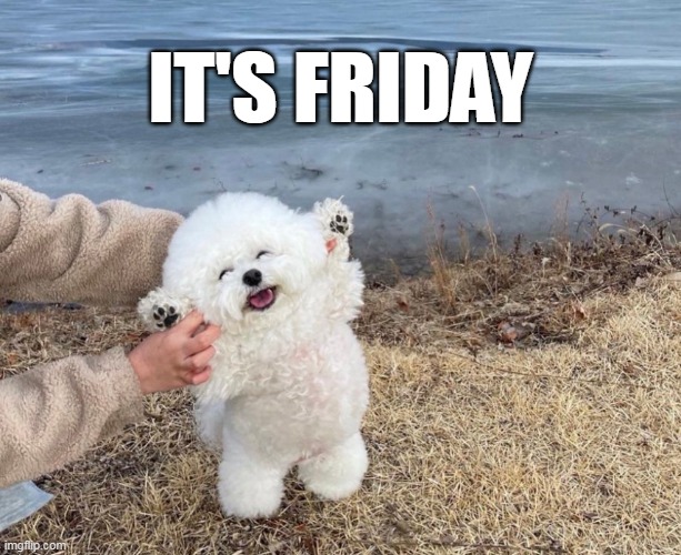 Happy Friday dog | IT'S FRIDAY | image tagged in happy dog,yay it's friday | made w/ Imgflip meme maker