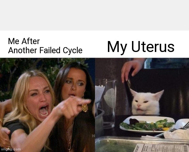 Woman Yelling At Cat | Me After Another Failed Cycle; My Uterus | image tagged in memes,woman yelling at cat | made w/ Imgflip meme maker