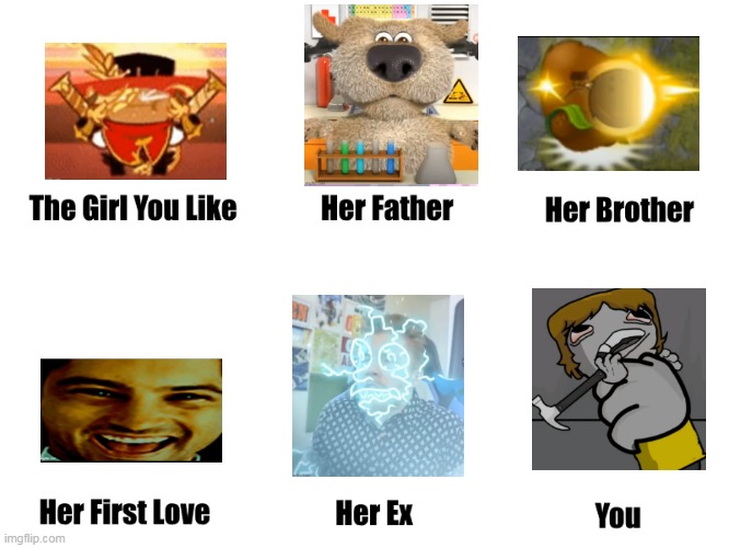 The images are from my video | image tagged in the girl you like | made w/ Imgflip meme maker