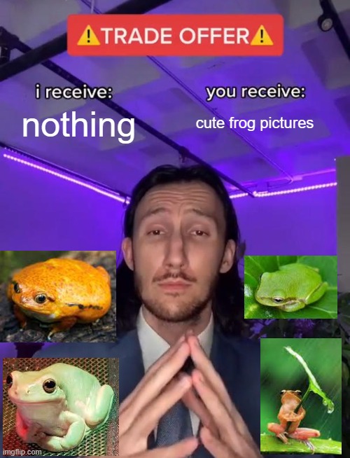 Trade | nothing; cute frog pictures | image tagged in trade offer | made w/ Imgflip meme maker