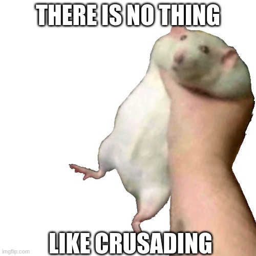 Thats a hampster | THERE IS NO THING; LIKE CRUSADING | image tagged in chonk rat | made w/ Imgflip meme maker