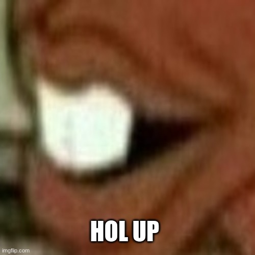 HOL UP | image tagged in memes | made w/ Imgflip meme maker