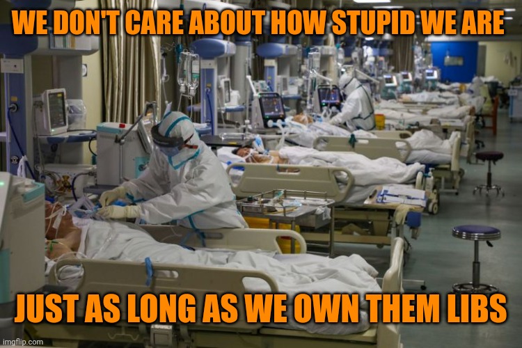 Who woulda thunk owning the libs has a cost? | WE DON'T CARE ABOUT HOW STUPID WE ARE; JUST AS LONG AS WE OWN THEM LIBS | image tagged in icu | made w/ Imgflip meme maker