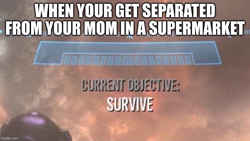 Survive. | WHEN YOUR GET SEPARATED FROM YOUR MOM IN A SUPERMARKET | image tagged in current objective survive | made w/ Imgflip meme maker