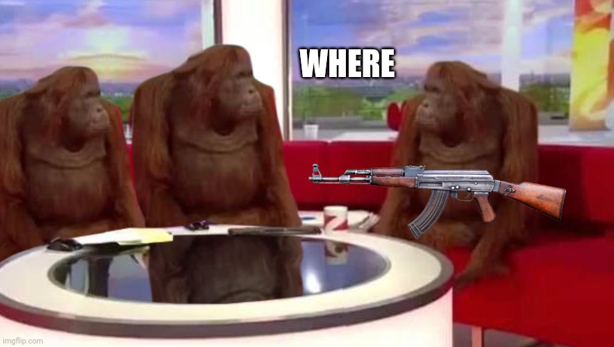 where monkey | WHERE | image tagged in where monkey | made w/ Imgflip meme maker