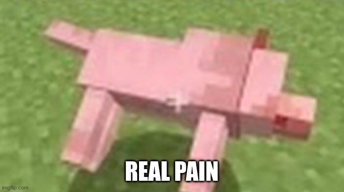 Minecraft Dog Death | REAL PAIN | image tagged in minecraft dog death | made w/ Imgflip meme maker