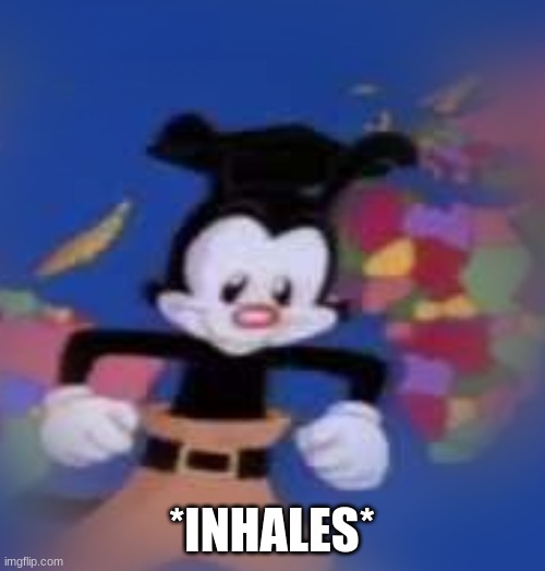 YAKKO | *INHALES* | image tagged in yakko | made w/ Imgflip meme maker