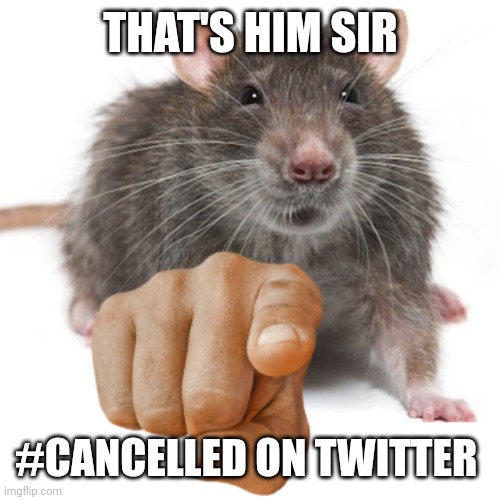 RatPointing Alternate | THAT'S HIM SIR #CANCELLED ON TWITTER | image tagged in ratpointing alternate | made w/ Imgflip meme maker