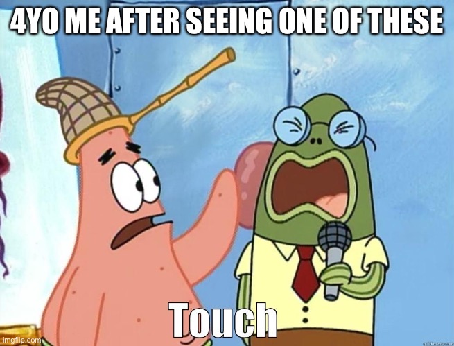 Patrick Touch | 4YO ME AFTER SEEING ONE OF THESE | image tagged in patrick touch | made w/ Imgflip meme maker