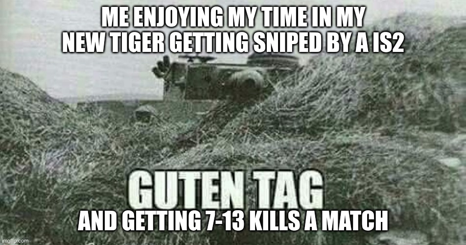 its fun when you angle but the CUOPOLA | ME ENJOYING MY TIME IN MY NEW TIGER GETTING SNIPED BY A IS2; AND GETTING 7-13 KILLS A MATCH | image tagged in german guten tag tiger,cuopolas suck,angling is good,german ww2 tanks are,boxes | made w/ Imgflip meme maker