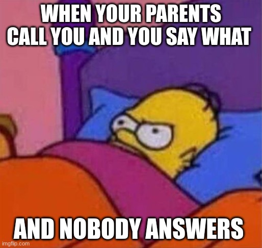 This happens to me...... | WHEN YOUR PARENTS CALL YOU AND YOU SAY WHAT; AND NOBODY ANSWERS | image tagged in angry homer simpson in bed | made w/ Imgflip meme maker