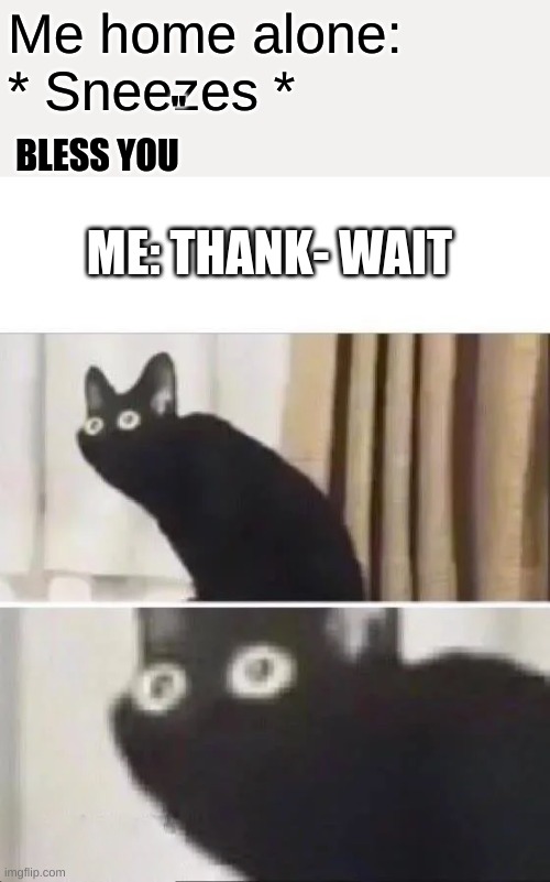 Oh no | " BLESS YOU; Me home alone: * Sneezes *; ME: THANK- WAIT | image tagged in oh no black cat | made w/ Imgflip meme maker