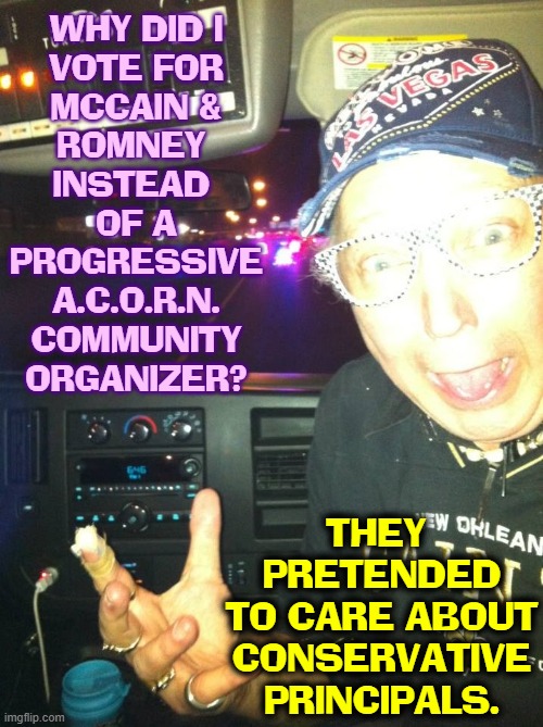 Republicans, please, give us DeSantis or Trump, next time | WHY DID I
VOTE FOR
MCCAIN &
ROMNEY 
INSTEAD 
OF A
PROGRESSIVE
A.C.O.R.N.
COMMUNITY
ORGANIZER? THEY 
PRETENDED
TO CARE ABOUT
CONSERVATIVE
PRINCIPALS. | image tagged in vince vance,mitt romney,john mccain,rinos,memes,community organizer | made w/ Imgflip meme maker