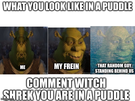 shreks in la puddle | WHAT YOU LOOK LIKE IN A PUDDLE; THAT RANDOM GUY STANDING BEHIND US; MY FREIN; ME; COMMENT WITCH SHREK YOU ARE IN A PUDDLE | image tagged in shrek,frien,random tag i decided to put,another random tag i decided to put,puddles | made w/ Imgflip meme maker