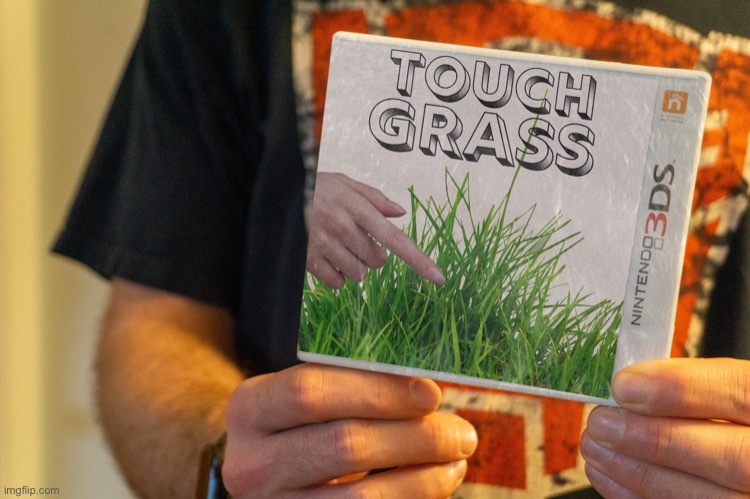 Touch grass #capcut #touchgrass #meme#fyp #memes #fy #foryou #foryoupa