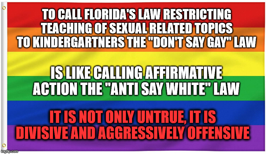 A Lie, by Any Other Name, Is Still a Lie | IT IS NOT ONLY UNTRUE, IT IS DIVISIVE AND AGGRESSIVELY OFFENSIVE | image tagged in don't say gay,lbgtq,politics,school,kindergarten | made w/ Imgflip meme maker