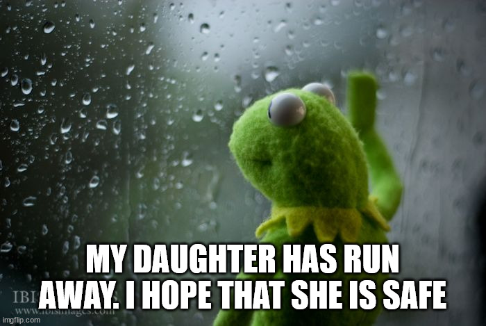 kermit window | MY DAUGHTER HAS RUN AWAY. I HOPE THAT SHE IS SAFE | image tagged in kermit window | made w/ Imgflip meme maker