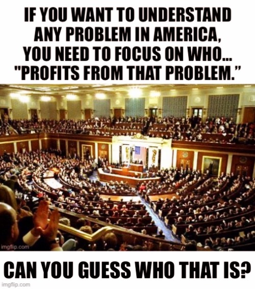 IF YOU WANT TO UNDERSTAND ANY PROBLEM IN AMERICA, YOU NEED TO FOCUS ON WHO "PROFITS FROM THAT PROBLEM. | image tagged in political meme,congress,america,money,income taxes | made w/ Imgflip meme maker