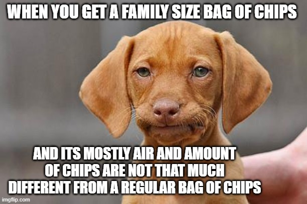 disappointment in a bag of chips | WHEN YOU GET A FAMILY SIZE BAG OF CHIPS; AND ITS MOSTLY AIR AND AMOUNT OF CHIPS ARE NOT THAT MUCH DIFFERENT FROM A REGULAR BAG OF CHIPS | image tagged in dissapointed puppy | made w/ Imgflip meme maker