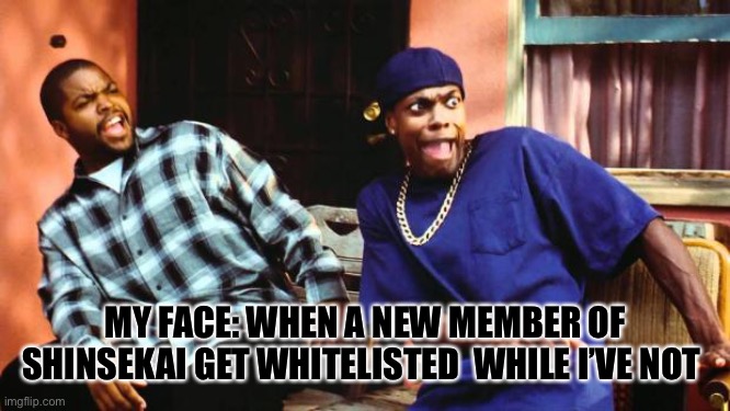 Ice Cube Damn | MY FACE: WHEN A NEW MEMBER OF SHINSEKAI GET WHITELISTED  WHILE I’VE NOT | image tagged in ice cube damn | made w/ Imgflip meme maker