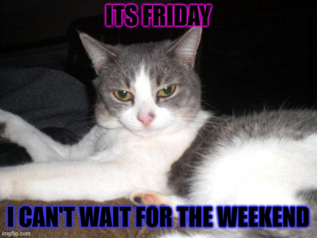Impatient Kitty | ITS FRIDAY; I CAN'T WAIT FOR THE WEEKEND | image tagged in impatient kitty | made w/ Imgflip meme maker