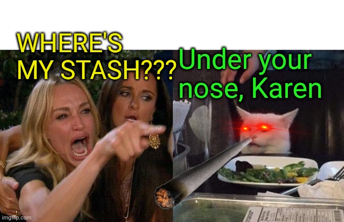 Woman Yelling At Cat Meme | WHERE'S MY STASH??? Under your nose, Karen | image tagged in memes,woman yelling at cat | made w/ Imgflip meme maker