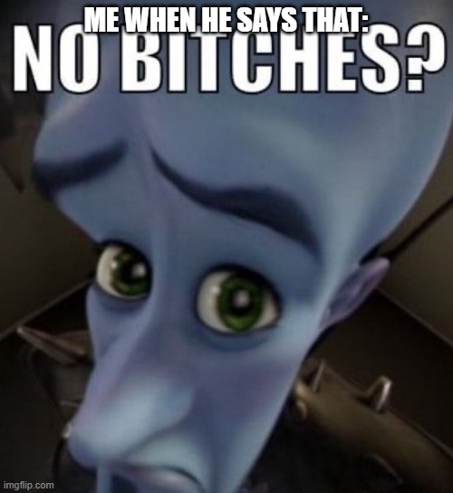 no bitches megamind | ME WHEN HE SAYS THAT: | image tagged in no bitches megamind | made w/ Imgflip meme maker