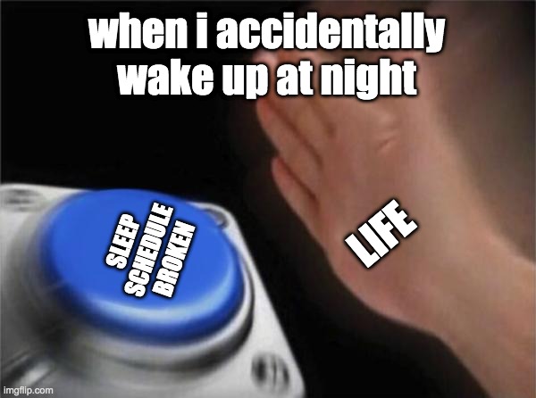 true |  when i accidentally wake up at night; LIFE; SLEEP SCHEDULE BROKEN | image tagged in memes,blank nut button,nut | made w/ Imgflip meme maker