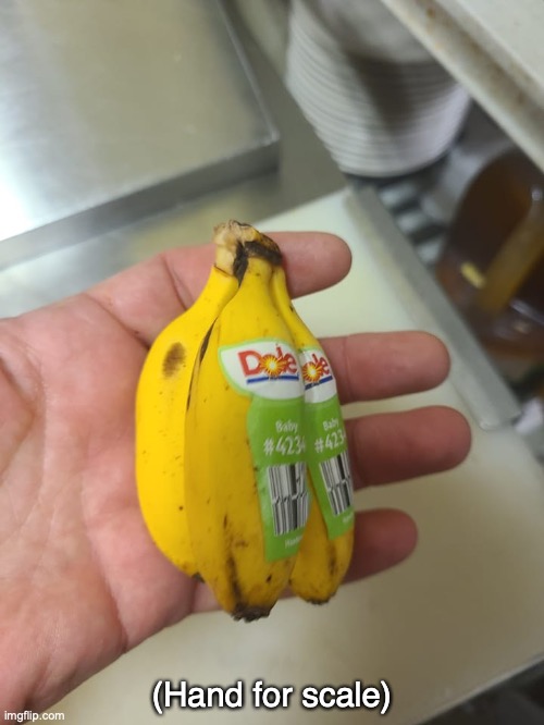 Hand for Scale | (Hand for scale) | image tagged in banana,hand,scale,small | made w/ Imgflip meme maker