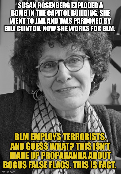 Susan Rosenberg | SUSAN ROSENBERG EXPLODED A BOMB IN THE CAPITOL BUILDING. SHE WENT TO JAIL AND WAS PARDONED BY BILL CLINTON. NOW SHE WORKS FOR BLM. BLM EMPLOYS TERRORISTS. AND GUESS WHAT? THIS ISN'T MADE UP PROPAGANDA ABOUT BOGUS FALSE FLAGS. THIS IS FACT. | image tagged in susan rosenberg | made w/ Imgflip meme maker