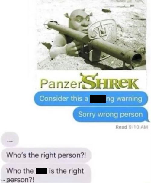 Hmm yes insert cruddy title here | image tagged in memes,shrek,panzer,hol up,dont read the next tag,you had one job | made w/ Imgflip meme maker