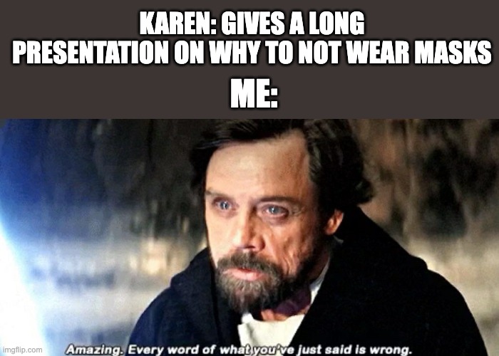 Karens are the worst |  KAREN: GIVES A LONG PRESENTATION ON WHY TO NOT WEAR MASKS; ME: | image tagged in amazing every word of what you just said is wrong,karens,memes,funny,star wars,the last jedi | made w/ Imgflip meme maker