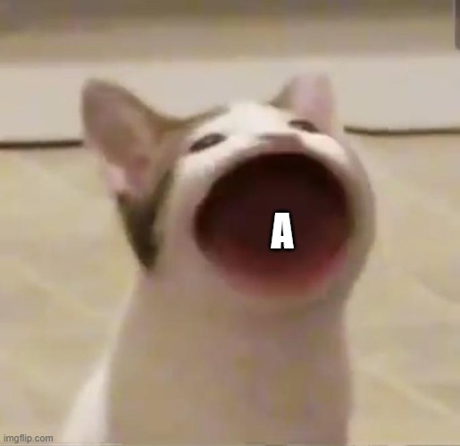 A | made w/ Imgflip meme maker