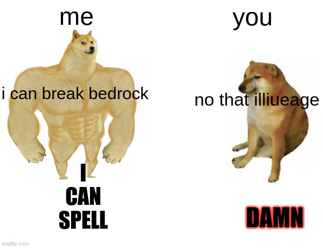 Buff Doge vs. Cheems Meme | me you i can break bedrock no that illiueage I CAN SPELL DAMN | image tagged in memes,buff doge vs cheems | made w/ Imgflip meme maker