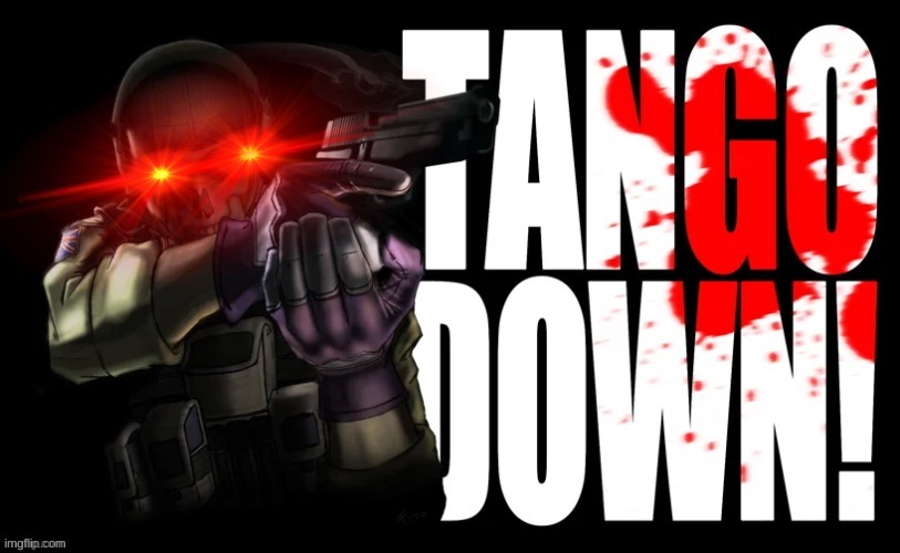 tango down | image tagged in tango down | made w/ Imgflip meme maker